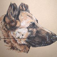 Custom Pet Portraits by DMarie