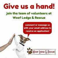 Woof Lodge & Rescue