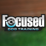 Focused Dog Training