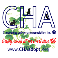 Chequamegon Humane Association