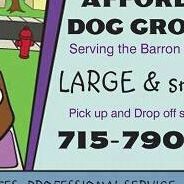 Affordable DOG Grooming