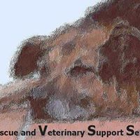 Arvss Animal Rescue & Veterinary Support Services