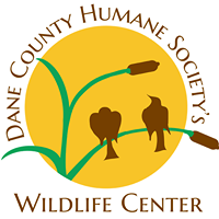 Dane County Humane Society’s Wildlife Center