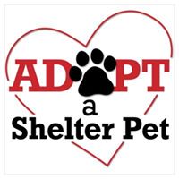 Oconto Area Humane Society