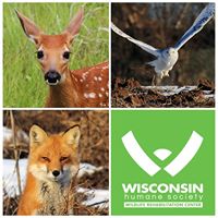 Wildlife Rehabilitation Center at Wisconsin Humane Society