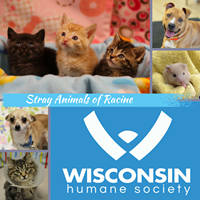 Stray Animals of Racine – Wisconsin Humane Society