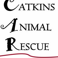 Catkins Animal Rescue, Inc