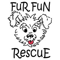 Fur Fun Rescue