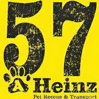 AHeinz57 Missing Mutts