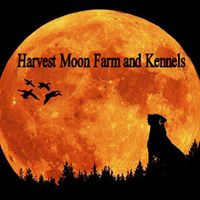 Harvest Moon Farm and Kennels – Connie Cramer