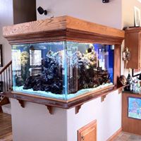 Tank-You Aquariums and Maintenance, LLC