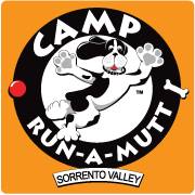 Camp Run-A-Mutt Sorrento Valley