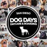 Dog Days San Diego