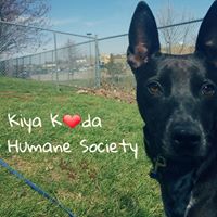 Kiya Koda Humane Society