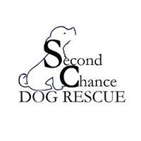 Second Chance Dog Rescue