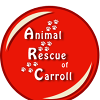 Animal Rescue of Carroll