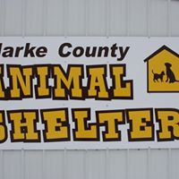 Clarke-County Animal-Shelter