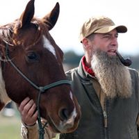 Natural Elements Horse Training