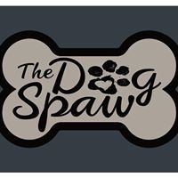 The Dog Spaw