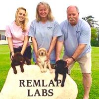 Remlap Labs