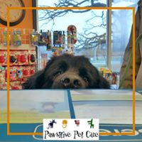 Pawsitive Pet Care