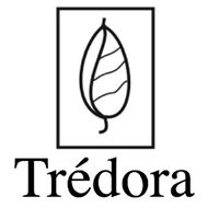 TREDORA SALON and DAY SPA