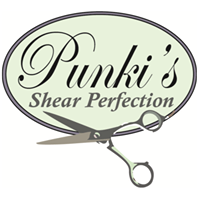 Punki’s Shear Perfection Salon