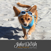 Jake’s Wish Dog Rescue