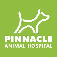 Pinnacle Animal Hospital