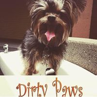 Dirty Paws Pet Sitting & Dog Walking