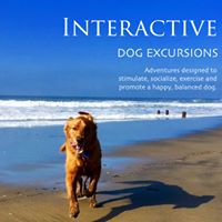 Interactive Dog Excursions