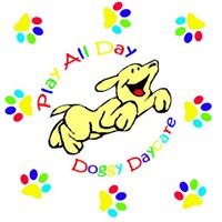 Play All Day Doggy Daycare-Salisbury