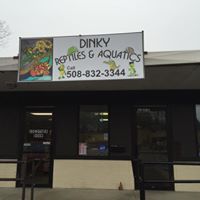 Dinky Reptiles and Aquatics