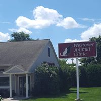 Westover Animal Clinic