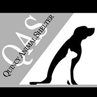 Quincy Animal Shelter – MA