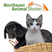 Northeast Animal Shelter