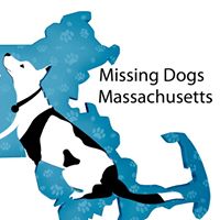 Missing Dogs Massachusetts