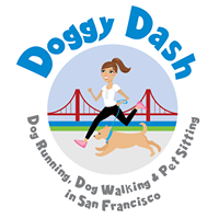 Doggy Dash