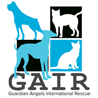 Guardian Angels International Rescue