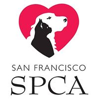 The San Francisco SPCA