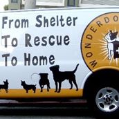 Wonder Dog Rescue