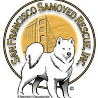 San Francisco Samoyed Rescue