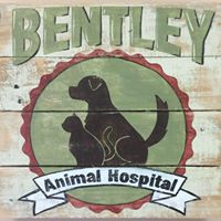 Bentley Animal Hospital