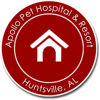 Apollo Pet Hospital & Resort