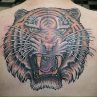 Tiger Tattoo