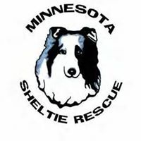 Minnesota Sheltie Rescue