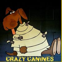 Crazy Canines