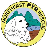 Northeast pyr rescue