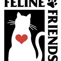 Feline Friends Cat Sanctuary