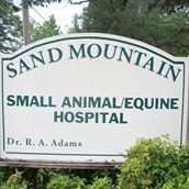 Sand Mountain Small Animal/Equine Hospital